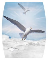 DAREC 101 BL Journey Home Clouds Birds Blue